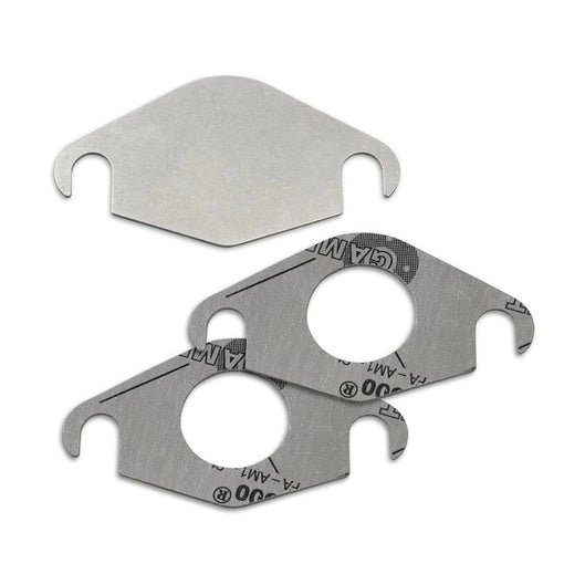  Plaque suppression vanne EGR BMW & MINI N47N N57N B37 B47